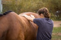 20180921 Wiebke Tierarzt Osteopathie_003_20180921-06721