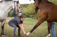 20180921 Wiebke Tierarzt Osteopathie_004_20180921-06738