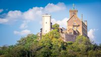 20190831 Eisenach Drachen- und Landgrafenschlucht_036_20190831-00012Kopie 1